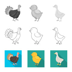 Isolated object of breeding and kitchen  icon. Collection of breeding and organic  vector icon for stock.