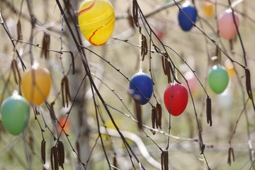 Fototapeta na wymiar Bunte, rote, gelbe, grüne, blaue Ostereier an einem Strauch an Ostern im Frühling als traditionelle Dekoration