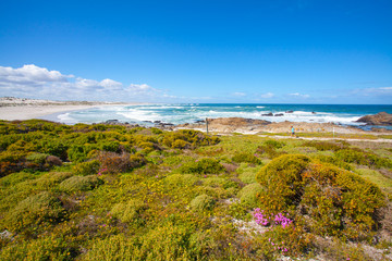 West Coast National Park, Western Cape