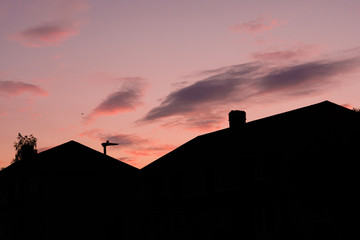 Row of houses in sunset on suburban street