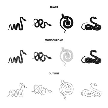 Vector illustration of mammal and danger logo. Collection of mammal and medicine stock symbol for web.