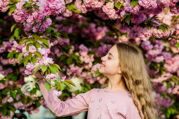 Fototapeta premium Young and carefree. summer. Childhood beauty. skincare. Natural cosmetics for skin. small girl child in spring flower bloom. blossom smell, allergy. happy girl in cherry flower. Sakura tree blooming