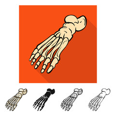 Vector illustration of medicine and clinic icon. Collection of medicine and medical stock symbol for web.