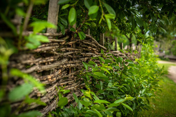 Beautiful scenery of the traditional ukrainian country village