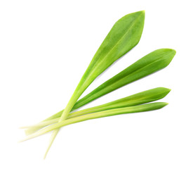 Fototapeta premium Leaves of wild garlic or ramson isolated on white, top view