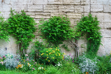 spring garden in the France