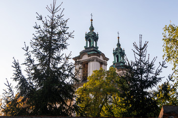 Roof of church in Krakow and top of evergreen trees