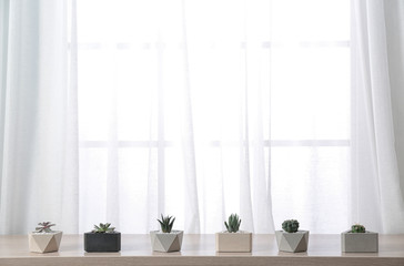 Composition with different houseplants in pots on window sill, space for text