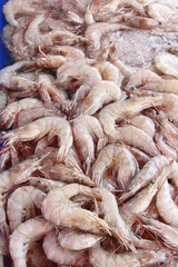 Fresh shrimp for cooking at street food