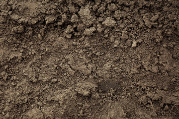 Textured ground surface as background, top view. Fertile soil for farming and gardening