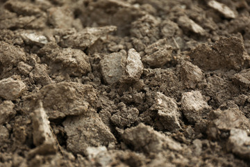 Textured ground surface as background, closeup. Fertile soil for farming and gardening