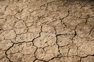 Cracked ground surface as background, closeup. Thirsty soil