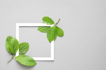 Flat lay composition with green leaves on color background. Space for text