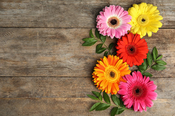 Composition with beautiful bright gerbera flowers on wooden background, top view. Space for text - obrazy, fototapety, plakaty