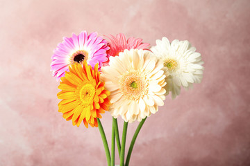 Bouquet of beautiful bright gerbera flowers on color background