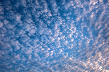 Obraz premium The blue sky and white clouds over the city park take pictures at sunset.