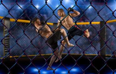 MMA boxers fighters fight in fights without rules