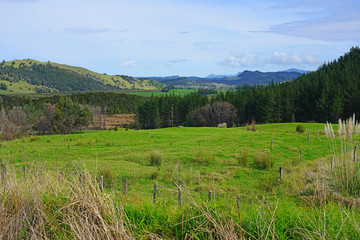 Fototapeta na wymiar Green fields and mountains in the Far North region of the North Island of New Zealand