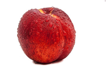 nectarina roja con gotas de agua en fondo blanco