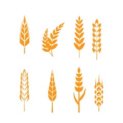 wheat ears icons set. Ear and organic wheat