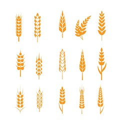wheat ears icons set. Ear and organic wheat