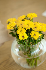 Colorful yellow and orange chrysanthemum flower in a round glass vase on table