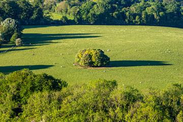 Naklejka premium Looking down on a green Sussex landscape from Ditchling Beacon, with long evening shadows