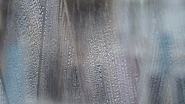 Soaping and washing windows with a window wiper squeegee close up