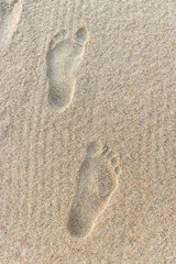 Fototapeta na wymiar Clear human footprint on sand on beach