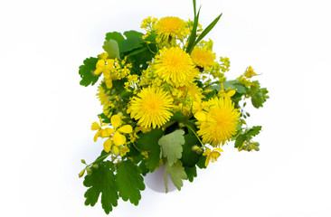 A bouquet of yellow wildflowers on a white background..Healing wild herbs.
