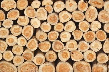 close up of stacked logs
