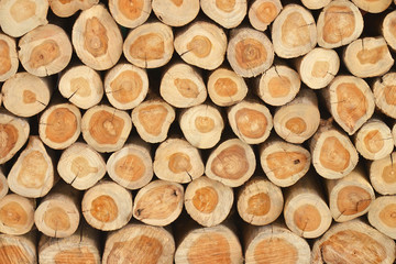 close up of stacked logs