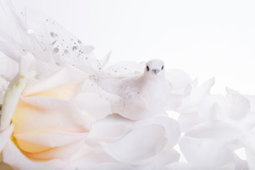Romantic wedding background. White dove and white rose, a symbol of peace and love.