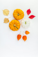 Orange white pumpkins dried flowers and leaves
