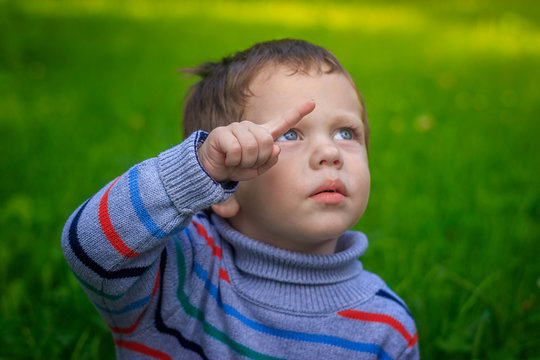 Portrait of a little boy on a background of grass. Little boy in a sweater.