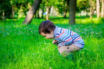 Portrait of a little boy on a background of grass. Little boy in a sweater.