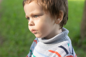 Portrait of a little boy on a background of grass. Little boy in a sweater.