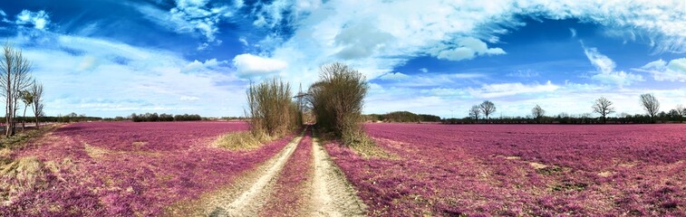 Beautiful and colorful fantasy landscape in an asian purple infrared photo style