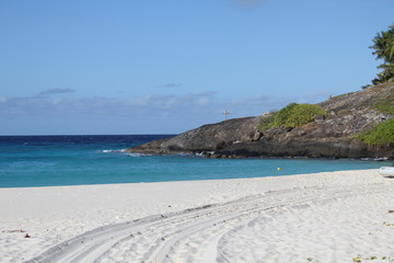 seychelles private island beach coconut