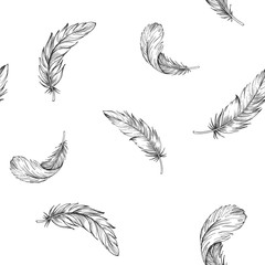 Seamless pattern with grey outline of bird feathers. Hand drawn vector illustration - obrazy, fototapety, plakaty