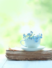Obraz na płótnie Canvas beautiful cozy composition with Cup and blue forget-me-not flower , old book on wooden white table. spring, summer season. delicate spring romantic scene. soft selective focus