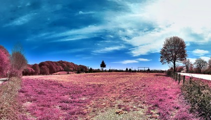 Beautiful and colorful fantasy landscape in an asian purple infrared photo style
