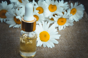 Chamomile essential oil in a glass bottle close-up on the table near the chamomile.