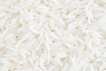 raw rice grain