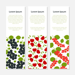 Three vertical banners for berry fruits. Fresh organic berries. Vector template flayer isolated on a grey background.