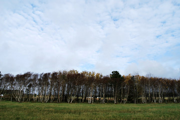 One week in a lighthouse of Norway