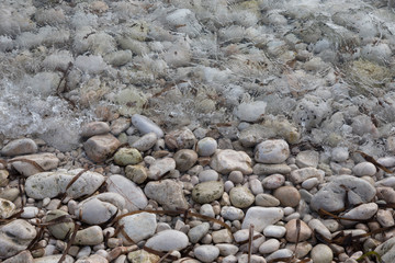 shore with stones