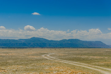 A safari trail snakes through the dry lake bed at Lake Manyara in Tanzania