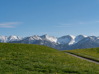 Bavarian landscape with alps and blue sky