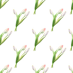 Seamless pattern from beautiful white tulips. Floral collection. Marker drawing. Watercolor painting. Floral composition of design elements. Greeting card. Painted background. Hand drawn illustration.